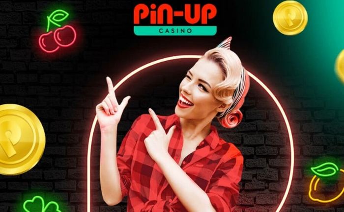 Pin Up Download Application