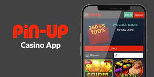 Pin Up Gambling Enterprise Online